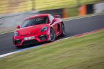 Porsche 718 Cayman GT4 2019 года (WW)